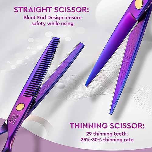 Professional Hair Cutting Set - 10 PCS Scissors & Thinning Shears
